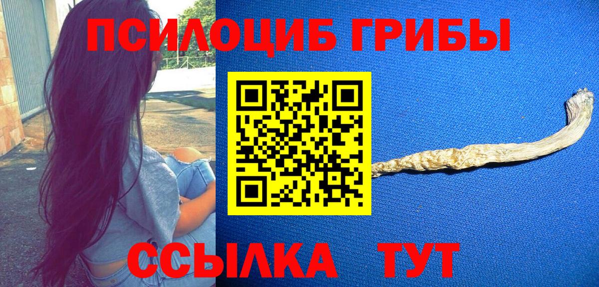 Галлюциногенные грибы мицелий  Вход с VPN  Псилоцибиновые грибы Cubensis  Скопин 